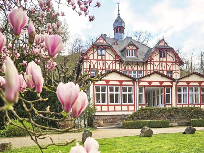 Haus Magnolien Magnolias