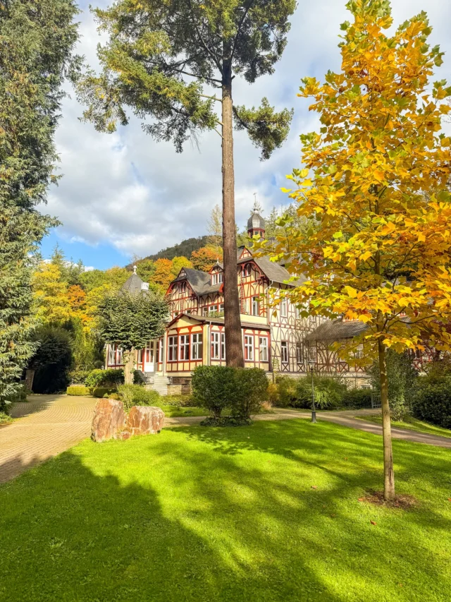 🇩🇪 Herbstgefühle! DER spürbar gemütliche Rückzugsort... 🐻🍁🤎  Versteckt in einem ruhigen Tal an der Mosel gelegen, bietet Ihnen unser Ayurveda Parkschlösschen die Möglichkeit, der Hektik des Alltags zu entfliehen und sich einfach zurückzulehnen, zu entspannen und die wechselnden Farben der Jahreszeit zu genießen. Tun Sie etwas Gesundes für Körper und Geist und lassen Sie sich von der exquisiten Ayurveda-Küche und den regenerierenden Ayurveda-Massagen verwöhnen.  👉 Buchen Sie jetzt Ihre Herbstferien im Ayurveda Parkschlösschen! Link in Bio.  ✦✧✦✧  🇬🇧 FALL FEELINGS! The ultimate cosy retreat... 🐻🍁🤎  Tucked away in a tranquil valley by the Moselle river, our health resort Ayurveda Parkschlösschen gives you the chance to escape the hustle and bustle of every day life and simply sit back, relax, and enjoy the changing colours of the season. Do something healthy for both body and mind while indulging in exquisite Ayurveda cuisine and regenerating Ayurveda massages.  👉 Book your autumn break at the Ayurveda Parkschlösschen now! Link in bio.  • • • • • • • •  #ayurvedaparkschloesschen #ayurvedalifestyle #ayurvedadeutschland #ayurvedakurdeutschland #ayurvedahotel #panchakarma #hotelinspiration #trabentrarbach #mosel #ayurvedakurdeutschland #herbstferien#herbstauszeit #fallbreak #autumnbreak #cosyautumn
