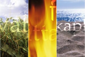 Dosha Story: Vata, Pitta und Kapha im Stress | Ayurveda Parkschlösschen Health Blog